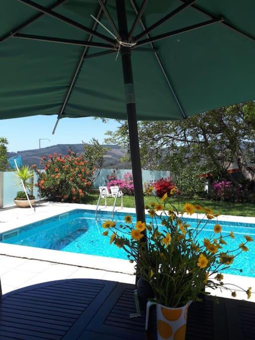 Casat5, Ferias, Piscina Privativa. Agueda, Aveiro Villa Kültér fotó