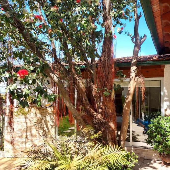 Casat5, Ferias, Piscina Privativa. Agueda, Aveiro Villa Kültér fotó