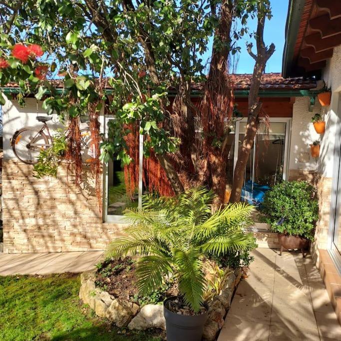 Casat5, Ferias, Piscina Privativa. Agueda, Aveiro Villa Kültér fotó