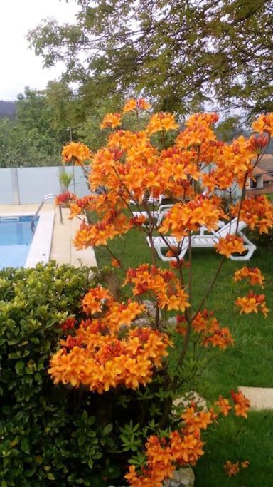 Casat5, Ferias, Piscina Privativa. Agueda, Aveiro Villa Kültér fotó